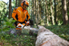 Casque Advance X Vent 81781 - STIHL - 8880802