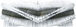 Brosse principale en pp p/07718 - 07795