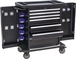 Servante d'atelier 7 tiroirs avec 2 portes laterales DRAKKAR EQUIPEMENT - 09258