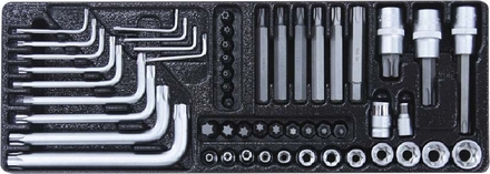 Module plastique 52 pcs douilles et embouts torx STILKER - 09315