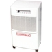 Deshumidificateur 300 m³/h THERMOBILE - 11076