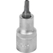 Douille 55mm embout torx perce 1/2' taille t27 dt DRAKKAR TOOLS - 11162