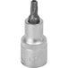Douille 55mm embout torx perce 1/2' taille t30 dt DRAKKAR TOOLS - 11163