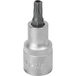 Douille 55mm embout torx perce 1/2' taille t40 dt DRAKKAR TOOLS - 11164