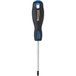 Tournevis cruciforme ph2x100 dt s/carte DRAKKAR TOOLS - 13248