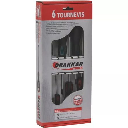 Boite de 6 tournevis plats et cruciformes DRAKKAR TOOLS - 13337