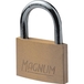 Cadenas 50mm anse acier 2cles/blist TAYG - 15773
