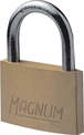 Cadenas 50mm anse acier 2cles/blist TAYG - 15773