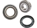Kit roulements coniques pour frein 750nf ALKO - 18117