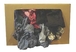 CHIFFONS DE COULEUR 10 KG -350101