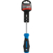 TOURNEVIS POZIDRIV PZ1*100 S - DRAKKAR TOOLS - 69380