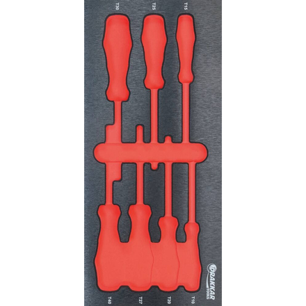 MODULE MOUSSE FINITION METAL VIDE TOURNEVIS TORX - DRAKKAR TOOLS - 84214