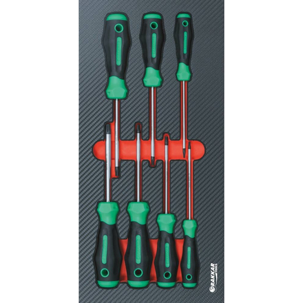 MODULE MOUSSE FINITION CARBONE PLEIN TOURNEVIS TORX - DRAKKAR TOOLS - 84263