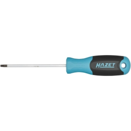 TOURNEVIS · TAILLE T10 - HAZET - HZ258925