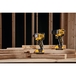 Visseuse à chocs XR 12 V 2 Ah Li-Ion Brushless - DCF801D2-QW - DEWALT