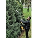 Combisystème XR FLEXVOLT 54 V - tête taille-haies sur perche - DCMASPH6N-XJ - DEWALT