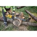 Tronçonneuse 50 cm XR FLEXVOLT 54V 3Ah Li-ion Brushless - DCMCS575X1-QW - DEWALT