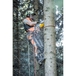 Tronçonneuse d'élagage 35 cm XR FLEXVOLT 54V Brushless - DCMCST635N-XJ - DEWALT