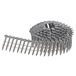 Pointes en rouleau galvanisées à chaud 3,1 x 38 mm - DNR3138HDZ - DEWALT