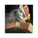 Lame scie sauteuse XPC denture fraisée HCS profondeur de coupe < 60 mm attache T - DT2214-QZ - DEWALT