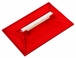 TALOCHE PS 34x23CM RECTANGLE ROUGE TALIAPLAST - 300704