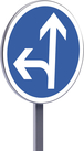 Panneau permanent B21d2 450 c2 direction obligatoire tout droit ou à gauche TALIAPLAST - 522674