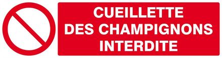Panneau rigide CUEILLETTE DES CHAMPIGNONS INTERDITE 200x52mm TALIAPLAST - 620221