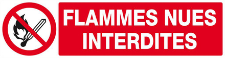 FLAMMES NUES INTERDITES 200x52mm TALIAPLAST - 620226