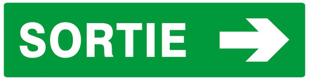 SORTIE FLECHE A DROITE 200x52mm TALIAPLAST - 620417