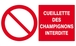 CUEILLETTE DES CHAMPIGNONS INTERDITE 330x200mm TALIAPLAST - 621221