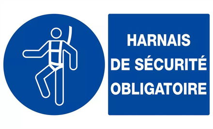 HARNAIS DE SECURITE OBLIGATOIRE 330x200mm TALIAPLAST - 621515