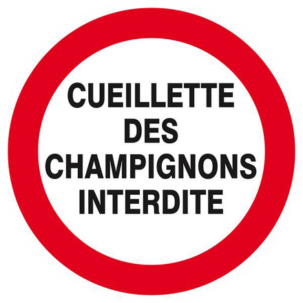 CUEILLETTE DES CHAMPIGNONS INTERDITE D.300mm TALIAPLAST - 622237