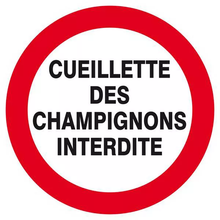 Panneau rigide CUEILLETTE DES CHAMPIGNONS INTERDITE D.300mm TALIAPLAST - 622237