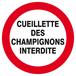 CUEILLETTE DES CHAMPIGNONS INTERDITE D.300mm TALIAPLAST - 622237