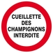 CUEILLETTE DES CHAMPIGNONS INTERDITE D.300mm TALIAPLAST - 622237