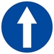 SENS OBLIGATOIRE (tout droit) D.300mm TALIAPLAST - 622578