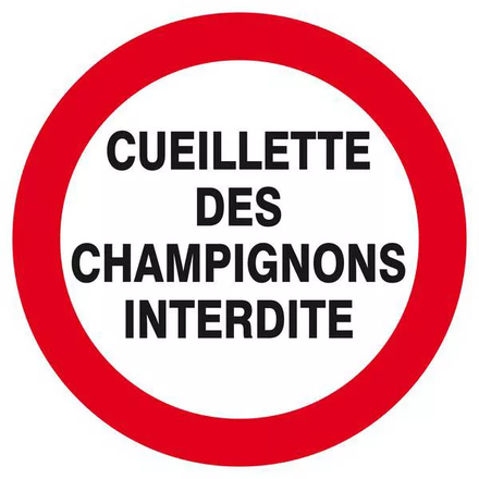 Panneau rigide CUEILLETTE DES CHAMPIGNONS INTERDITE D.420mm TALIAPLAST - 623238