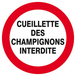 Panneau rigide CUEILLETTE DES CHAMPIGNONS INTERDITE D.420mm TALIAPLAST - 623238