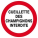 Panneau rigide CUEILLETTE DES CHAMPIGNONS INTERDITE D.420mm TALIAPLAST - 623238