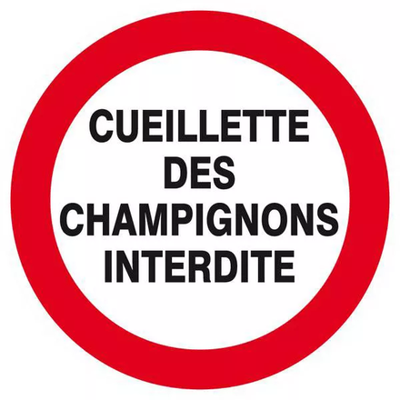 Panneau rigide CUEILLETTE DES CHAMPIGNONS INTERDITE D.80mm TALIAPLAST - 624241