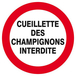 Panneau rigide CUEILLETTE DES CHAMPIGNONS INTERDITE D.80mm TALIAPLAST - 624241