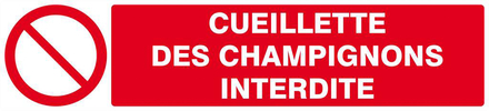 Panneau rigide CUEILLETTE DES CHAMPIGNONS INTERDITE 330x75mm TALIAPLAST - 625221