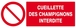 Panneau rigide CUEILLETTE DES CHAMPIGNONS INTERDITE 330X120MM TALIAPLAST - 626221