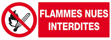 PANNEAU FLAMMES NUES INTERDITES 330X120MM TALIAPLAST - 626226