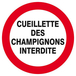 Panneau rigide CUEILLETTE DES CHAMPIGNONS INTERDITE Ø180MM TALIAPLAST - 627242