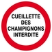 Panneau rigide CUEILLETTE DES CHAMPIGNONS INTERDITE Ø180MM TALIAPLAST - 627242