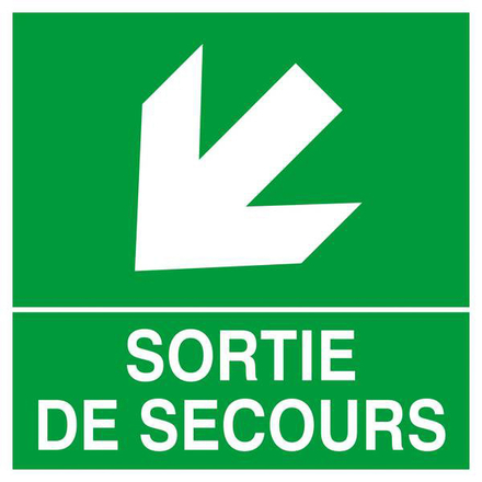 PANNEAU SORTIE DE SECOURS FLECHE EN BAS A GAUCHE 200X200MM TALIAPLAST - 628413