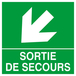 PANNEAU SORTIE DE SECOURS FLECHE EN BAS A GAUCHE 200X200MM TALIAPLAST - 628413