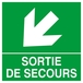 PANNEAU SORTIE DE SECOURS FLECHE EN BAS A GAUCHE 200X200MM TALIAPLAST - 628413