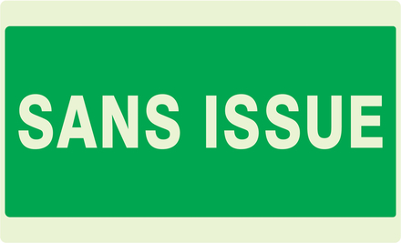 PANNEAU SANS ISSUE (SECOURS) LUMINESCENT 330X200MM TALIAPLAST - 631416